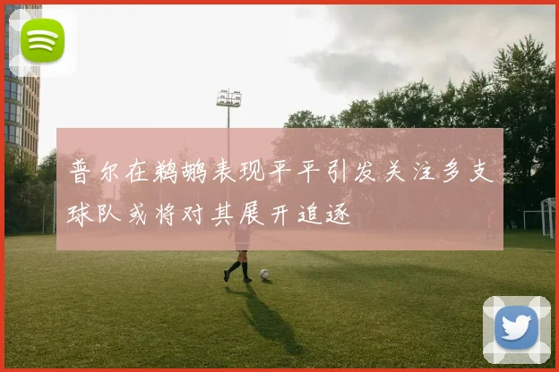 普尔在鹈鹕表现平平引发关注多支球队或将对其展开追逐